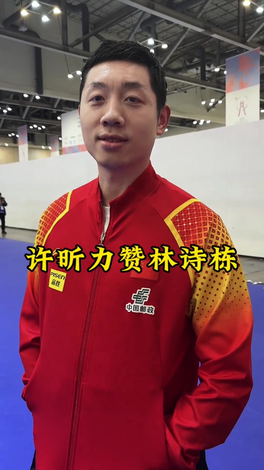 法国乒乓球队血洗瑞典乒乓球队，许昕高光表现的简单介绍