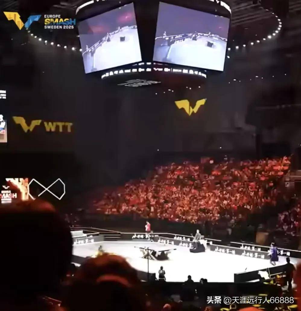 九游APP-包含比利时乒乓球队横扫瑞典乒乓球队，水谷隼绝境逆转的词条